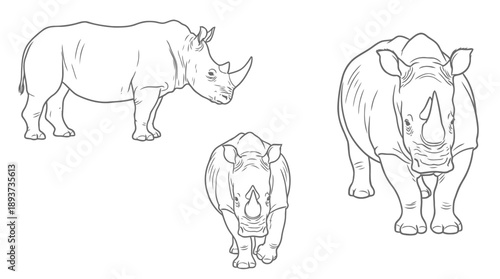 Illustration of Rhinoceroses in Various Poses, Nature, Wildlife Art, Outdoor, Artistic Viewpoint