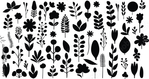 Leaves big vector collection. Set of graphical elements with various leaf designs in different shapes and sizes. Flat design. tree branches, eucalyptus, , herbs and flowers silhouettes