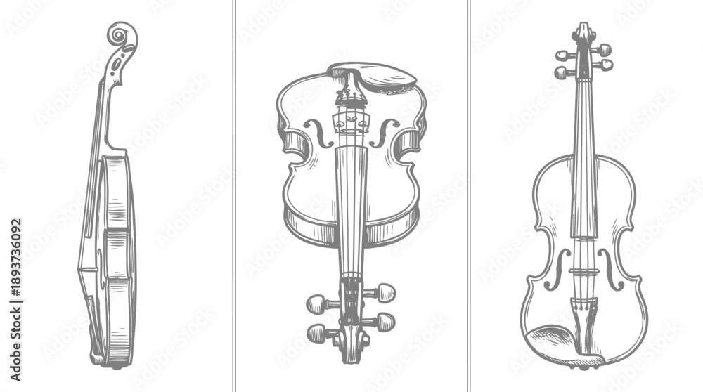 Fototapeta premium Illustration of Violins in Three Perspectives, Musical Instruments, Art