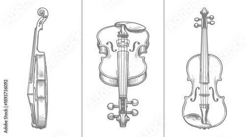 Illustration of Violins in Three Perspectives, Musical Instruments, Art