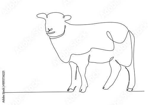 Sheep lamb in one continuous line art. Lamb in the grass line art icon concept.