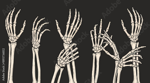 Horror Skeleton Hands Vintage Engraving Illustration Banner. Anatomy Bone Pattern for Halloween or Gothic Design.