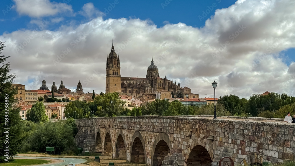 Obraz premium View of Salamanca Cathedral and Roman Bridge