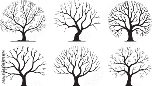 Six distinct silhouettes of mature, leafless trees are arranged in two rows, presenting various natural growth forms for illustration use.