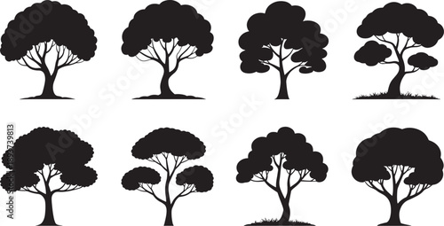 Eight distinct black silhouette images representing mature, full-canopy trees isolated against a clean white background for graphic use.