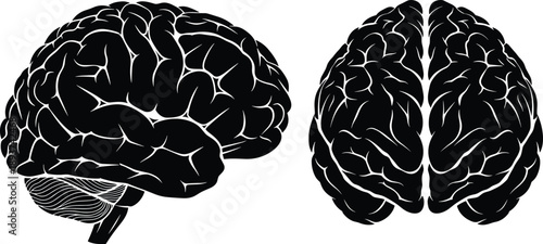 Black Silhouette of Human Brain from Side and Top Views white