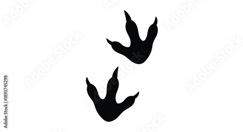 Black silhouette of three toed dinosaur footprints on a white background