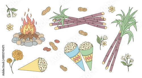 Colorful illustration of a harvest festival scene with a bonfire, sugarcane, peanuts, popcorn, and various flowers.