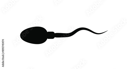 Simple black silhouette of a human sperm cell on a white background