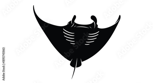 Black silhouette of a manta ray gracefully gliding through the water