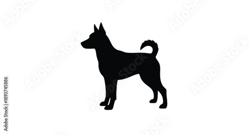 Black silhouette of a dingo standing in profile against a white background