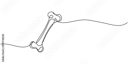 Bone single line art, continuous one line drawing of Isolated outline vector art, Continuous one line drawing of bone. simple human bone line art vector illustration. Bone toy for dog line art, pro.