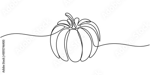 garcinia atroviridis fruit outline continuous one line drawing, Old engraved illustration of Tea plant (Camellia sinensis), Botany plants antique engraving illustration: Hickory, Old engraved.