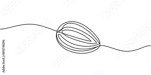 betel nut continuous one line drawing, areca nut, scientific name Areca catechu, isolated on white background, Vector illustration, green, Collection of betel nut icons, editable and resizable vector.