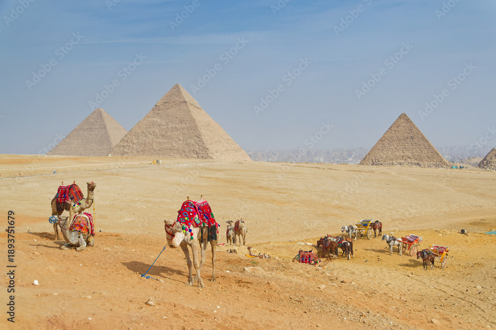 Fototapeta premium Pyramiden von Gizeh