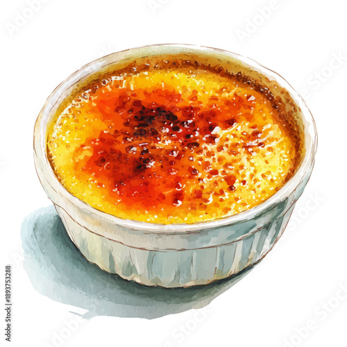 Creme Brulee watercolor vector illustration, high-quality artwork isolated on a pure white background.
