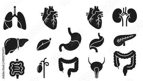 Human Organs Silhouette Set Anatomy Icons.