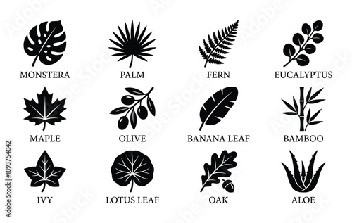 Tropical and Forest Leaf Silhouette Icons Set Minimalist Botanical Plant Vector Art