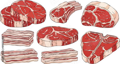 Assortment of various raw beef cuts including steaks chops and bacon strips illustrated on white background
