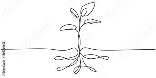 Continuous line art illustrating a young plant seedling with exposed roots Vector, illustration