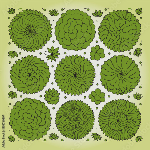 Ensemble de 9 Illustrations Silhouettes d'Arbres pour Plans de Jardins et Architecture, Vue d'en Haut, Nature et Végétation Vert Vecteur