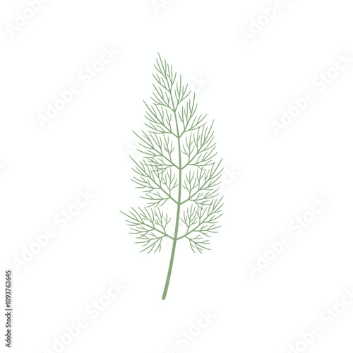 Stylized illustration of a single delicate sprig of dill weed