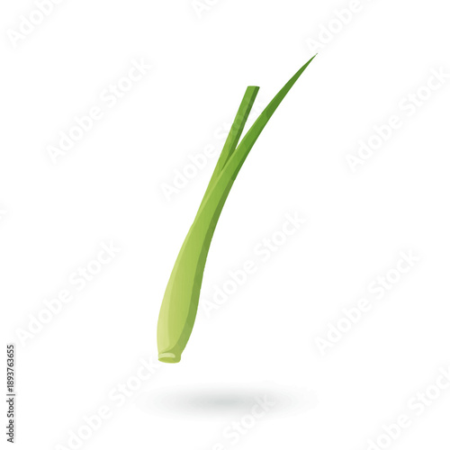 Stylized illustration of a single stalk of lemongrass on a white background