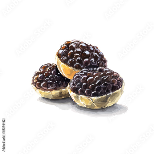 Caviar watercolor vector illustration, high-quality artwork isolated on a pure white background.