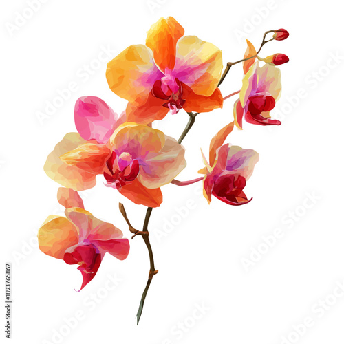 Photos Orchid watercolor artwork, high-quality professional vector illustration isolated on a white background
