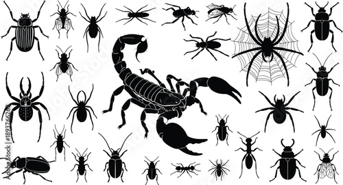 Insect and arachnid silhouettes collection with scorpion spider beetle ant isolated on white background vector illustration