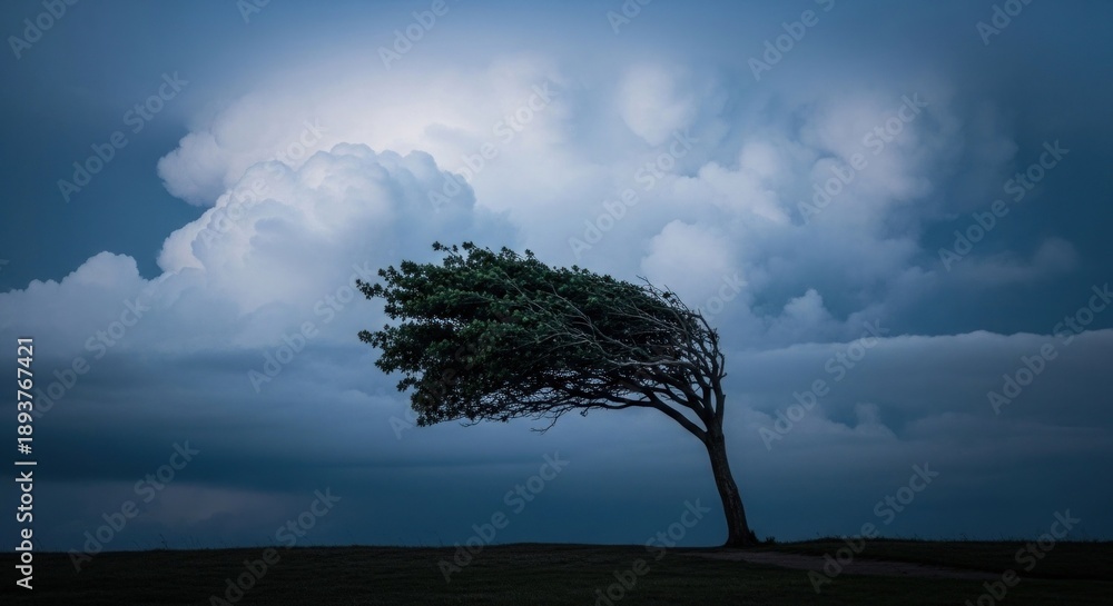 Obraz premium A lone windswept tree stands against a dramatic, stormy sky