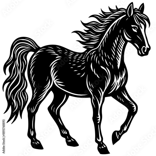 Majestic black horse with flowing mane and tail standing proudly