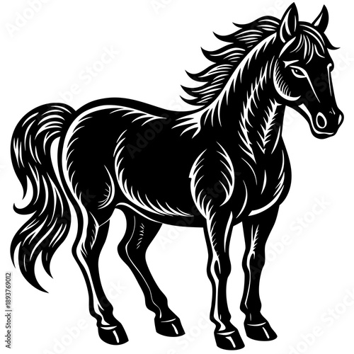 Majestic black horse with flowing mane and tail standing proudly