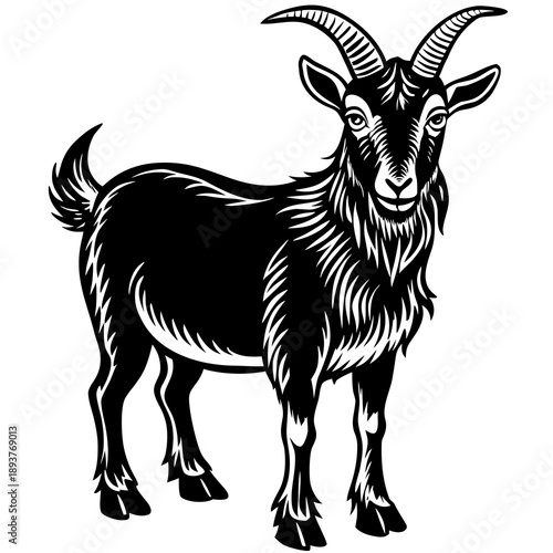 Majestic black goat with curved horns standing proudly