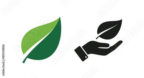 A hand gently holding a vibrant green leaf symbolizing care and growth