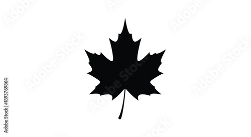 A stark silhouette of a single maple leaf against a white background
