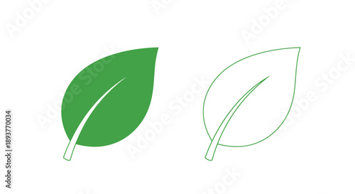 Two leaves one green and one white outline displayed side by side