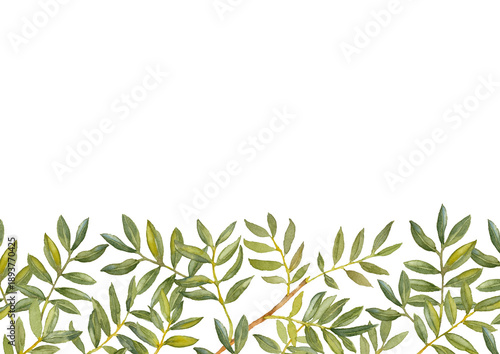 Wallpaper Mural Green Ruscus. Greenery collection. Greeting card template. Watercolor hand-drawn illustration. Torontodigital.ca