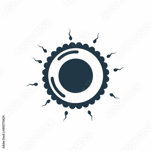 Human Fertilization Process with Sperm Cells Surrounding Ovum Vector Illustration