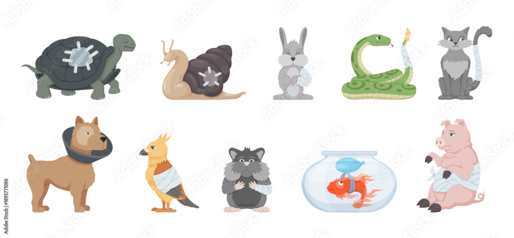 Obraz premium A collection of various sick animals in need of veterinary care. Various pets, including a turtle, a cat, a dog, a parrot, and a hamster, are presented looking over-bented and sad.