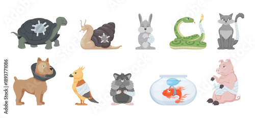 A collection of various sick animals in need of veterinary care. Various pets, including a turtle, a cat, a dog, a parrot, and a hamster, are presented looking over-bented and sad.