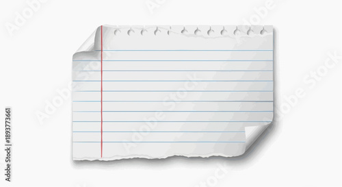 Blank Lined Notebook Paper with Torn Edges and Curled Corners