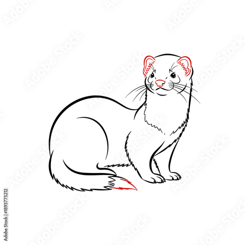 Vector image of Ferret sitting in a playful mood with a white background