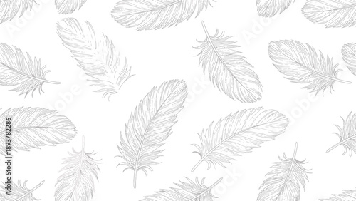 Gray feather pattern, illustration for background, texture or overlay, Isolated on transparent background, png