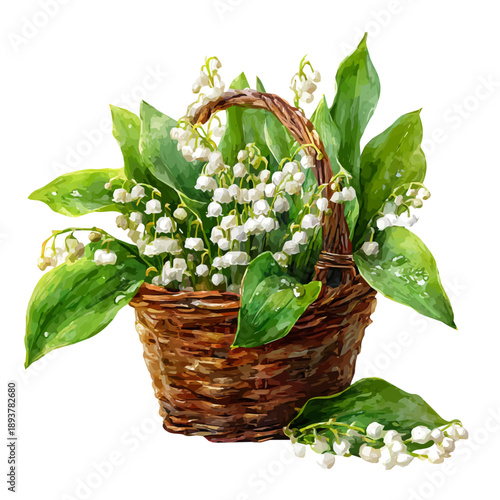 Watercolor Lily Of The Valley Basket vector, artistic painting style, high-resolution illustration on a pure white background.