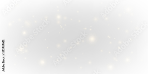 A luminous scatter of gold dust creates a soft magical shimmer. Warm highlights add depth and atmosphere. A refined overlay for festive designs. PNG