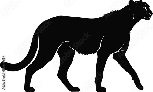 Black silhouette of a wild cheetah walking, vector illustration isolated on white background, African safari animal side view, big cat predator design logo element.