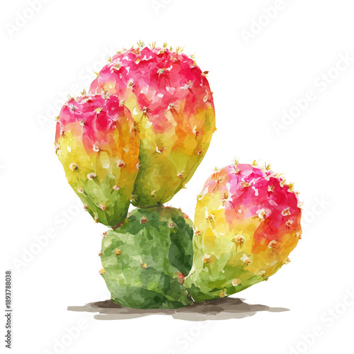 Tableau sur toile Moon Cactus watercolor vector, hand-painted style, high-quality illustration isolated on white background