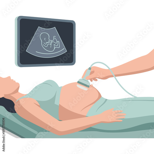 Pregnant Woman Undergoing Ultrasound Examination