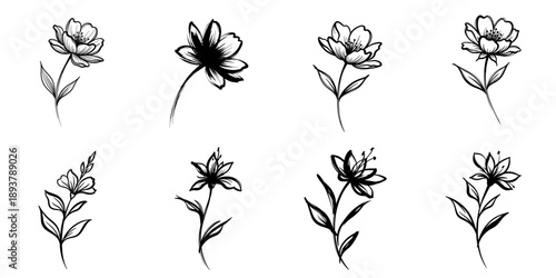 Flower illustrations in a hand-drawn style featuring various designs 